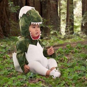 Pottery Barn Kids Dinosaur Costume 12-24 mo